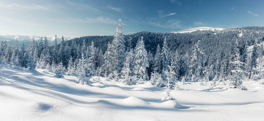Majestic winter landscape