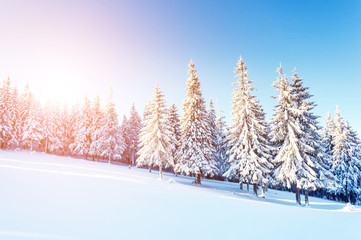 Fototapeta premium Dramatic wintry scene