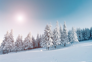 Fototapeta premium Dramatic wintry scene
