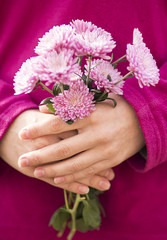 bouquet of asters in the hands of woman