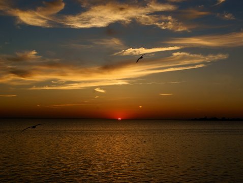  Baltic sea and sunset with reflex