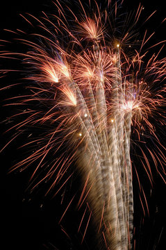 Fireworks in night sky