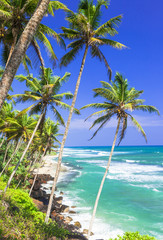 Fototapeta na wymiar Beautiful wild tropical beaches of Sri Lanka