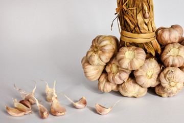 Bunch of garlic bulbs tied together for hanging on storage rail. Taken on White bacground in close range.