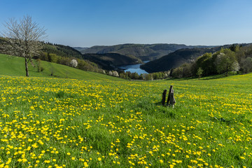 Fr&uuml;hling am See