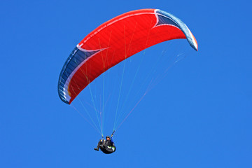 Paraglider
