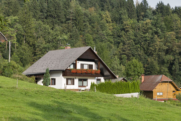 Traditional houses in Slovenian Alps