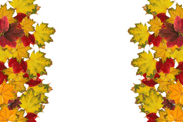 Naklejka na ściany i meble blank (frame): red and yellow leaves on white background