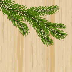 Green spruce branches on the background nature of wood. illustration