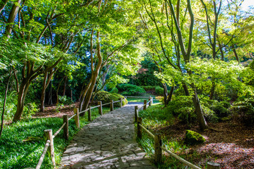 Obraz premium Japanese Garden