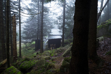 Eine einsame Hütte mitten im Wald