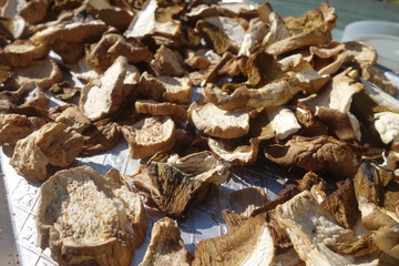 Dried and sliced edible mushrooms