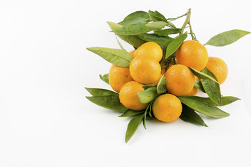 Mandalina