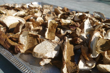 Dried and sliced edible mushrooms