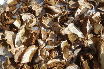 Dried and sliced edible mushrooms