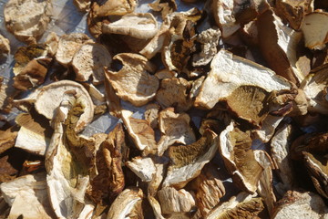 Dried and sliced edible mushrooms