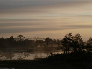 Naklejka premium Bog scenery at sunrise - Kakerdaja Bog