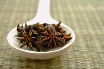 Star Anise in spoon, still life