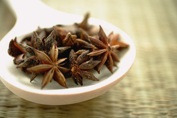Star Anise in spoon, still life, close-up