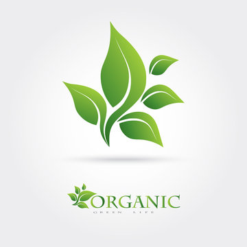 Green vector icon from green leaves. It can be used for eco, health care, or the nature of logo design concepts.