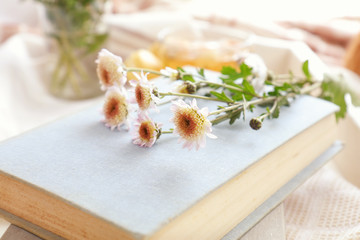 Chrysanthemum flowers lay on the book which is laying on the table. Cozy home concept