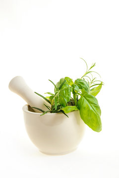 mortar with fresh herbs isolated on a white background