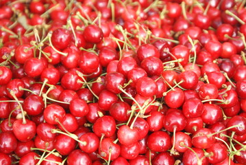 Red Cherries. Cherry selection