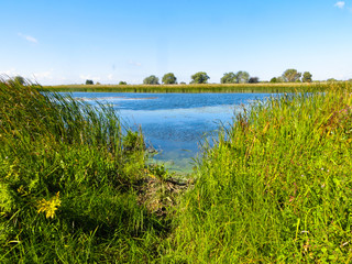 View on a river Dnieper on early autumn