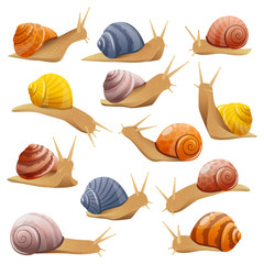Decorative Snails Set