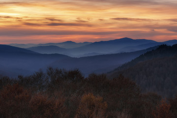 Sunset over Irati Autumn beech forest