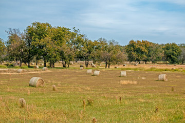 Hay in the Field