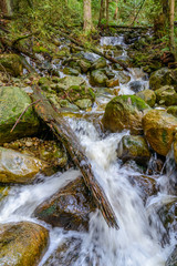 Beautiful Mountain River or Creek at West Vancouver, Canada.