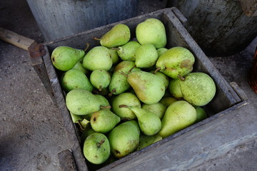 Green pear in a wooden box