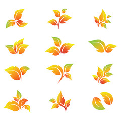 Set of autumn leaves. Can be used for textiles, prints, paper goods, invitations and others.