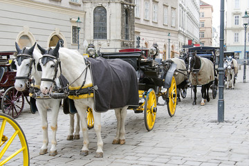 Fototapeta na wymiar Horse-driven carriage, Vienna, Austria
