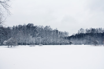 Winter park in snow