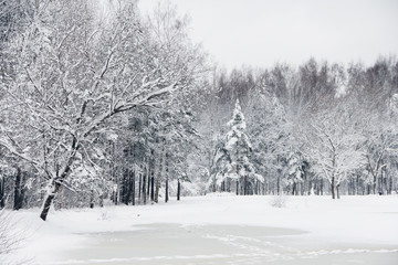 Winter park in snow