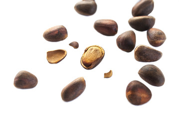 кедр  .  кедровые  орешки   © kivladimir