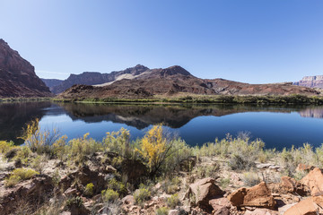 Fototapeta na wymiar Arizona Desert Colorado River