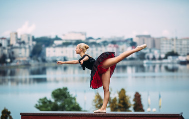 Fototapeta na wymiar ballerina posing on a background of the lake