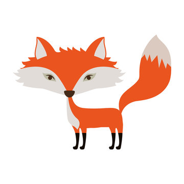 Fox icon. Animal cartoon and nature theme. Isolated and drawn design. Vector illustration