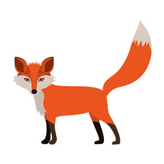 Fototapeta premium Fox icon. Animal cartoon and nature theme. Isolated and drawn design. Vector illustration