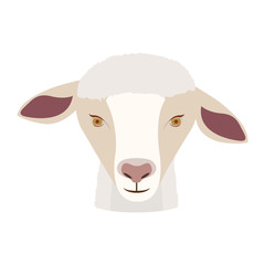 sheep icon. Animal cartoon and nature theme. Isolated and drawn design. Vector illustration