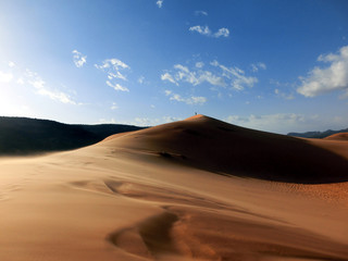 Fototapeta na wymiar Windswept pink sand dune national park in Utah, USA