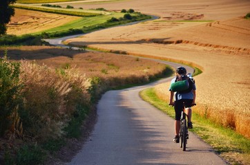 Obraz premium Biker riding on cycling road through summer agricultural fields which are full of gold wheat