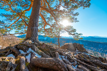 Fantastic winter landscape