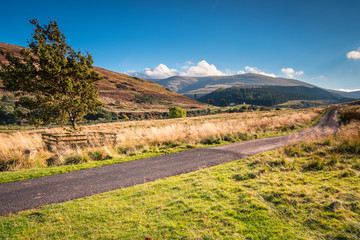 The Cheviot and College Valley, from which the hill range takes its name, is the highest point in Northumberland, located in the Anglo-Scottish borders, seen here in autumn 