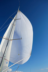 Fototapeta premium Flying the symmetric spinnaker on the yach in strong wind