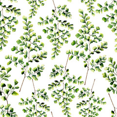 Watercolor seamless pattern with maidenhair fern leaves. Hand painted fern ornament. Floral illustration isolated on white background. For design, textile and background.