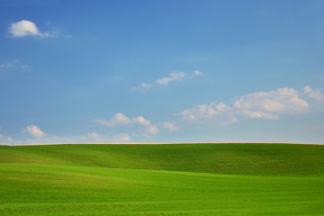 Beautiful green meadow with blue sky